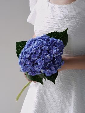 【周四团购】单枝重瓣绣球39.8元 2人拼团