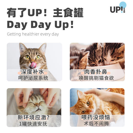 有鱼猫罐头UP系列主食罐100g*6罐 商品图2