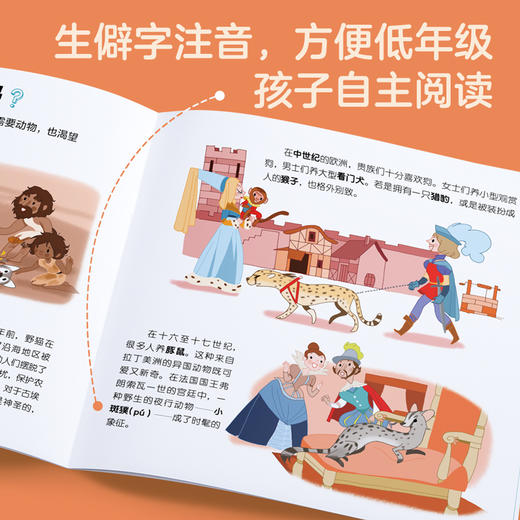 【5本】我的小问题第4辑 儿童书籍幼儿科普绘本阅读启蒙亲子博物大百科全书十万个为什么5/6/7/8/9/10岁畅销书 商品图6