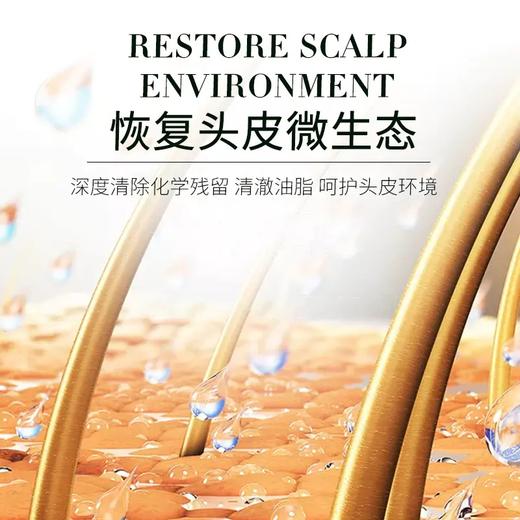 白柳皮控油平衡洗发露200ml 商品图7