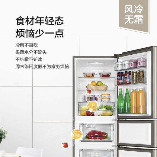 海尔（Haier）冰箱BCD-213WMPS 商品图5