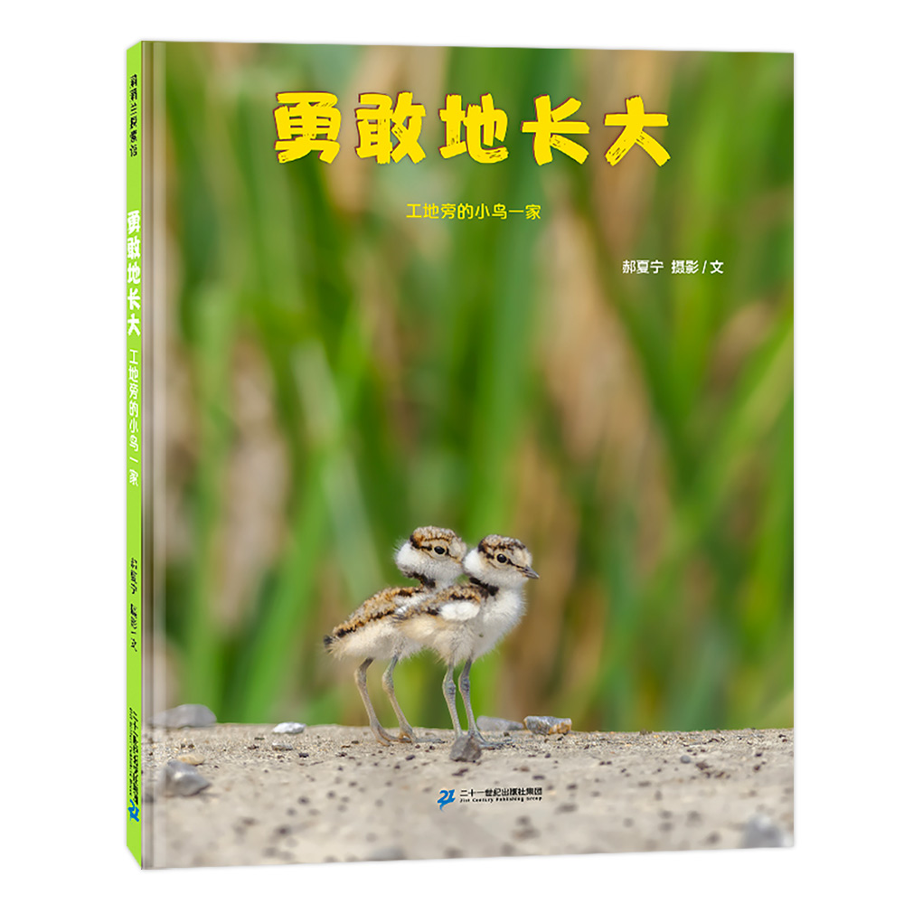 勇敢地长大：工地旁的小鸟一家：摄影绘本、适合3-6岁宝宝精装