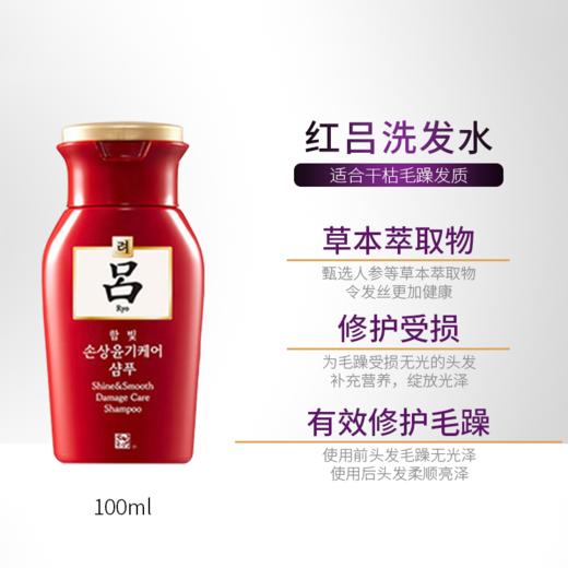 【爆款超低价预售 急单慎拍】紫吕洗发水红吕生姜防脱发控油去油清爽顺滑柔顺去屑女护发素韩国 商品图1