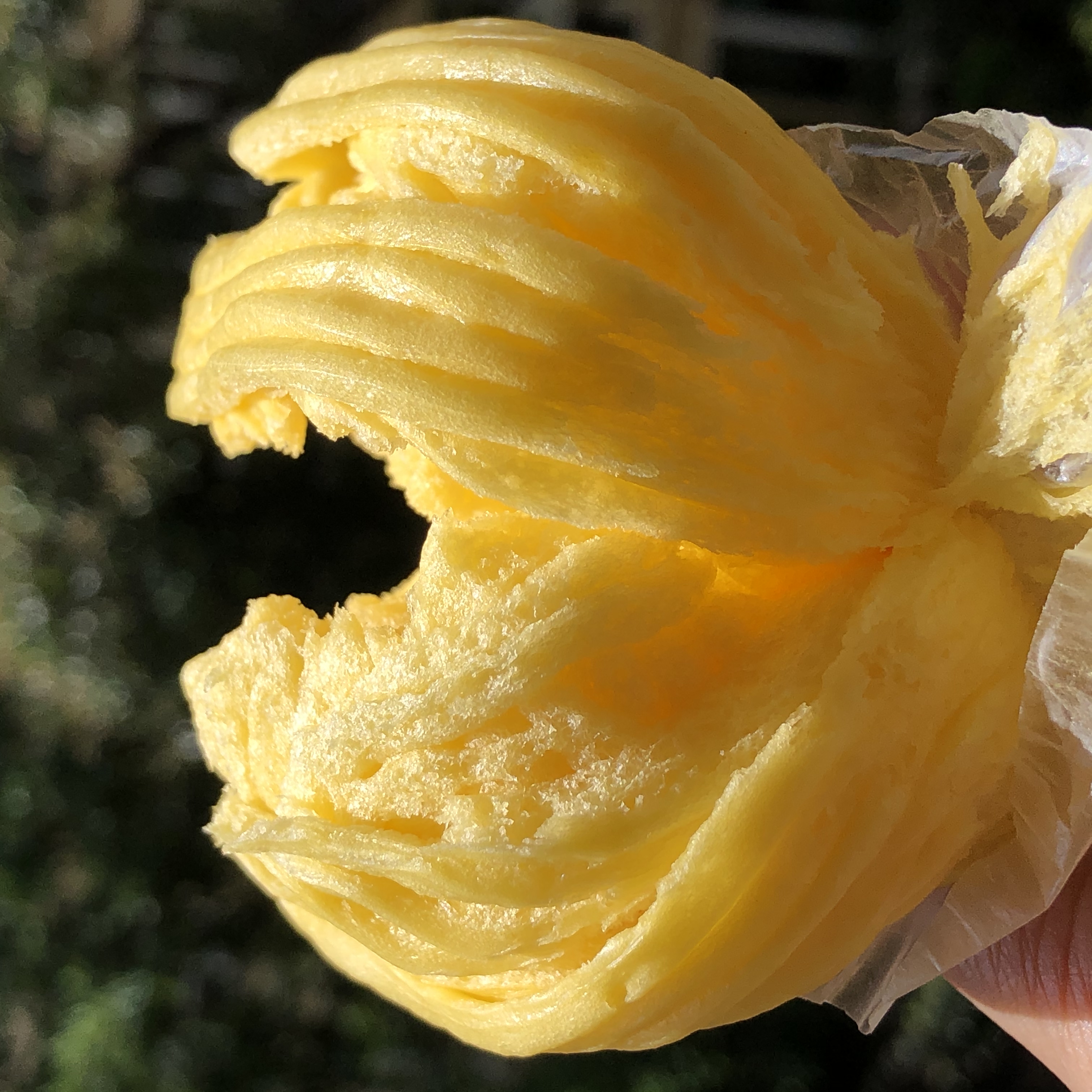 【这么大个儿！！】【逐南味】老昆明手撕鸡蛋金丝卷  撕着更好吃 12枚/袋 8个鸡蛋1斤面 云南特色传统小吃 蛋香浓郁 蓬松有嚼劲 经典私房面食 早餐新宠