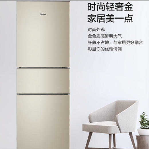 海尔（Haier）冰箱BCD-213WMPS 商品图4