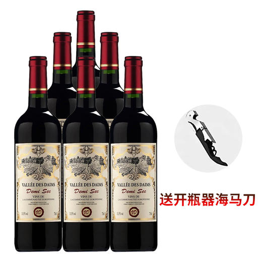 法国丹姆斯半干红葡萄酒 整箱6瓶*750ml包邮 商品图2