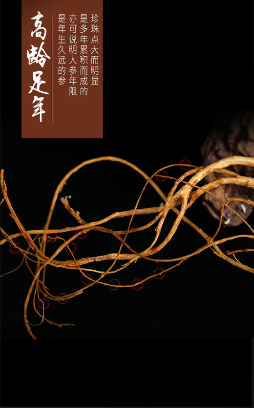 林下山参人参长白山礼盒送礼自用煲汤泡酒30克/50克/盒 商品图3