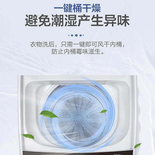 海尔（Haier）洗衣机EB90BM029 商品图7