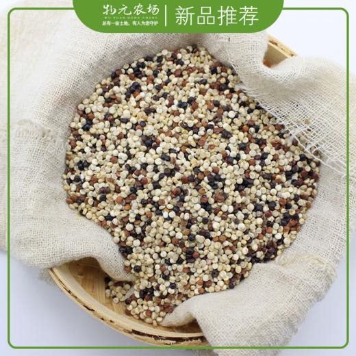 【新米】三色藜麦 物元农场红藜麦 白藜麦 黑藜麦 全营养谷物 百搭款丨350g真空装 商品图2