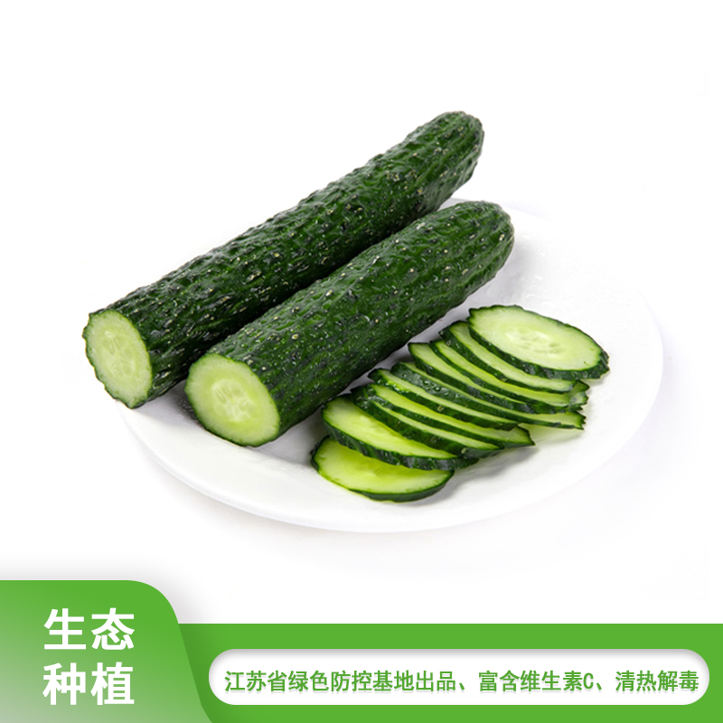 黄瓜约600g/份