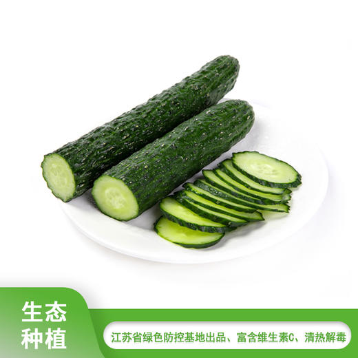 黄瓜约600g/份 商品图0