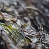 东海头水坛紫菜 无沙免洗干货温州特产可做儿童辅食 商品缩略图3