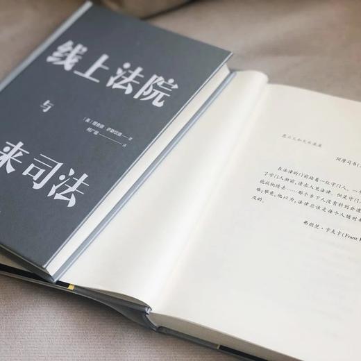 《线上法院与未来司法》作者：〔英〕理查德·萨斯坎德 定价：59元 商品图4