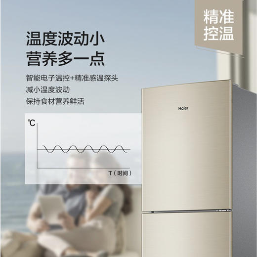 海尔（Haier）冰箱BCD-213WMPS 商品图9