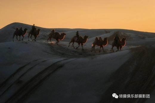 辽宁本溪红叶 老边沟 科尔沁五角枫 奈曼旗骆驼冲沙 怪柳林 向海丹顶鹤保护区7天摄影团 领摄影像机构