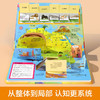 乐乐趣揭秘翻翻书低幼版第三辑 揭秘世界地图 商品缩略图3
