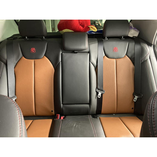 【特价月租-北京】比亚迪 秦EV300 豪华型 商品图6