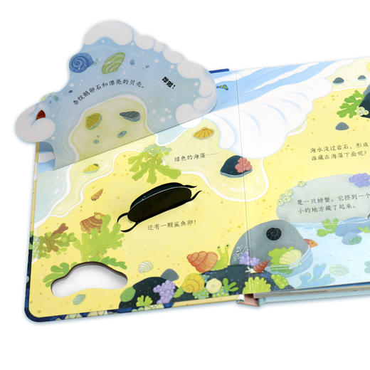 尤斯伯恩偷偷看里面 海边 商品图1