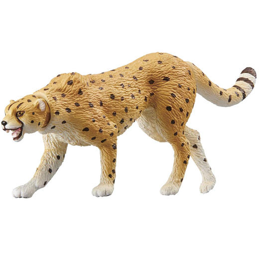 安利亚 - ANI-139607野生猎豹 商品图3