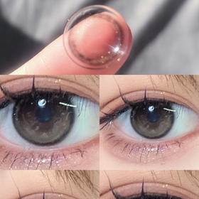 Chonos黑皮蛋（日抛）