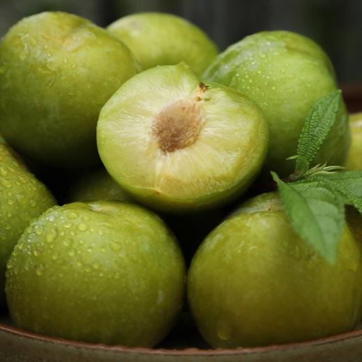 【已下架】只有1%的人吃过的四川蜂糖李 不打药 不催熟 入口香甜 皮薄肉厚5斤 现摘现发 顺丰包邮[福利品] 商品图3