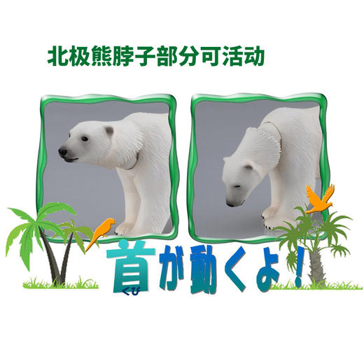 安利亚  -ANI-488002北极熊 商品图2