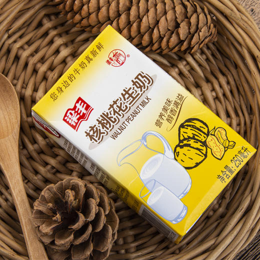 梁丰核桃花生牛奶250ml*20盒（6个月保质期） 商品图2