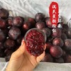 胭脂李 商品缩略图0