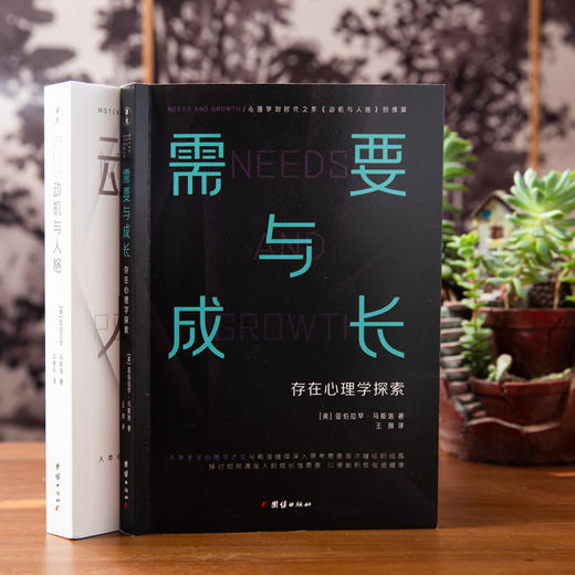 需要与成长：存在心理学探索+动机与人格 商品图2
