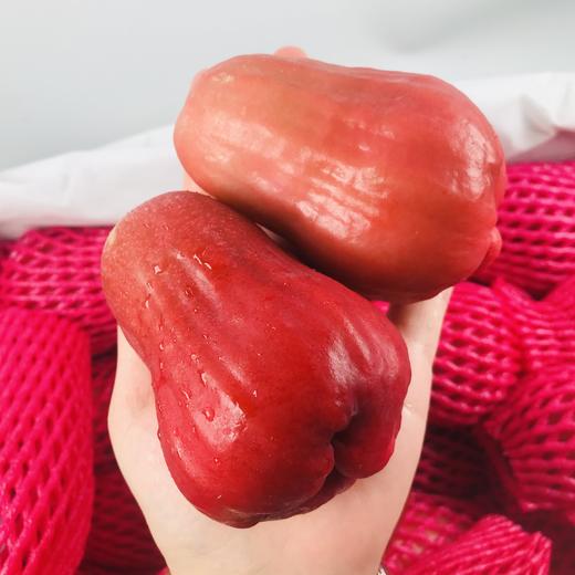 【台湾黑糖芭比莲雾】 3斤 12-14颗.