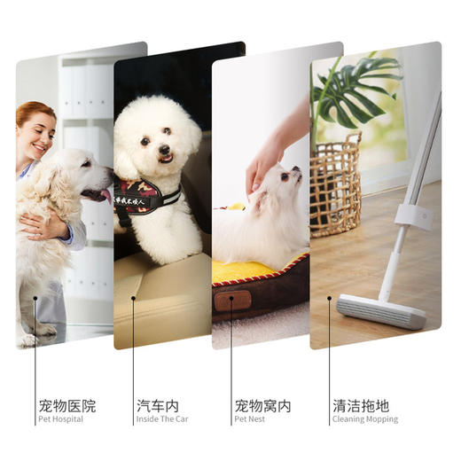 道力其宠物除臭剂便携式狗狗猫咪去尿味 环境空气清新剂 商品图4