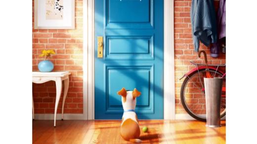 2.《爱宠大机密》电影精讲 商品图0