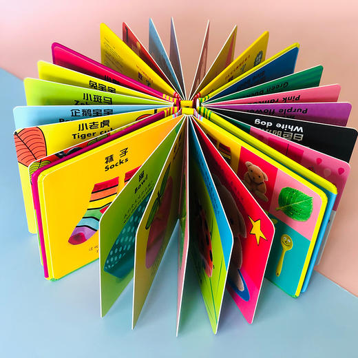 DK系列中英双语启蒙书9册+阅加智能点读笔（套装） 商品图11