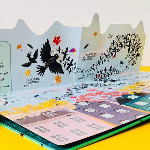 DK系列中英双语启蒙书9册+阅加智能点读笔（套装） 商品图9