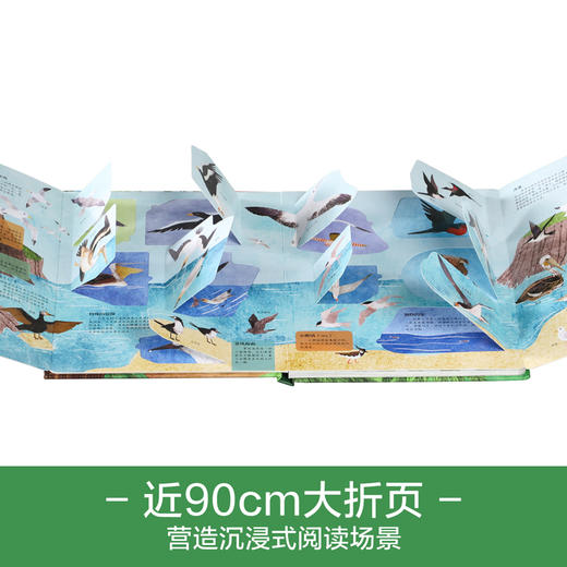 乐乐趣揭秘翻翻书系列第六辑 揭秘鸟类 商品图3