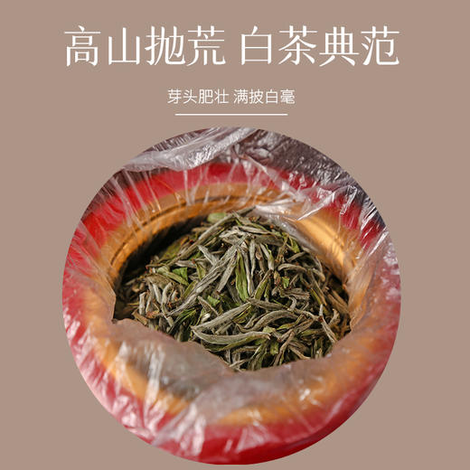 2017春茶-荒野牡丹王 商品图2