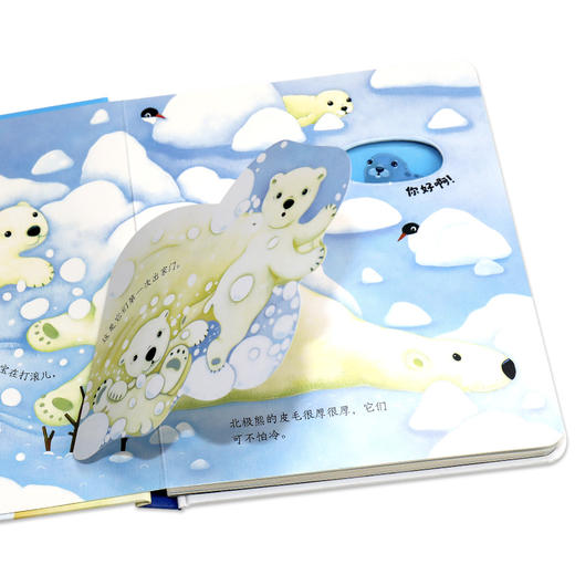 尤斯伯恩偷偷看里面 冰雪世界 商品图1