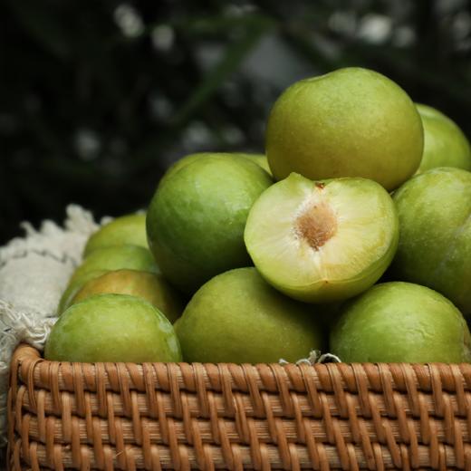 【已下架】只有1%的人吃过的四川蜂糖李 不打药 不催熟 入口香甜 皮薄肉厚5斤 现摘现发 顺丰包邮[福利品] 商品图6