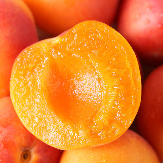 甜到小腰发软 | 新疆小红杏 甜到没对手 99%的人没吃过 香甜多汁 现摘3斤装 [福利品] 商品图2