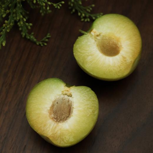 【已下架】只有1%的人吃过的四川蜂糖李 不打药 不催熟 入口香甜 皮薄肉厚5斤 现摘现发 顺丰包邮[福利品] 商品图10