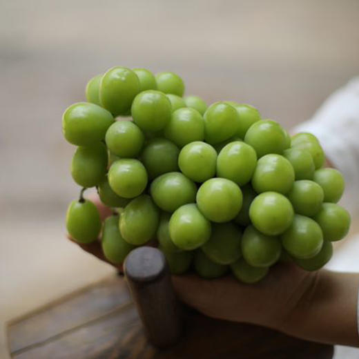 日光の晴王2盒+妮娜1盒剪枝装（3斤）精品礼盒顺丰快递到家 商品图1