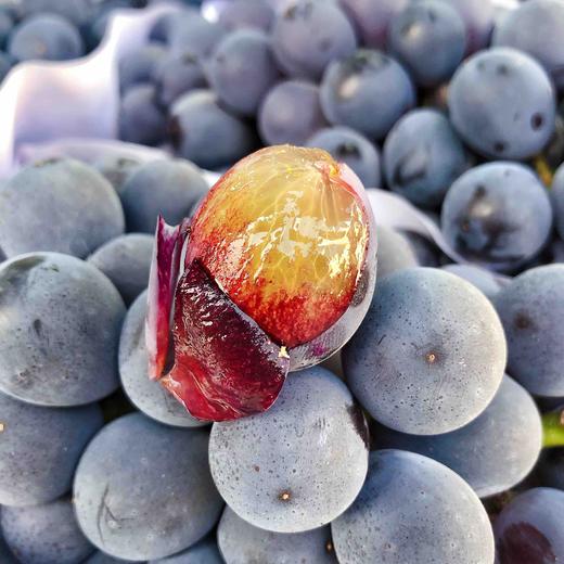 【甜美夏黑】云南 蓝莓夏黑葡萄，无籽，果粉满满，甜度好，当季时令鲜货！ 商品图1