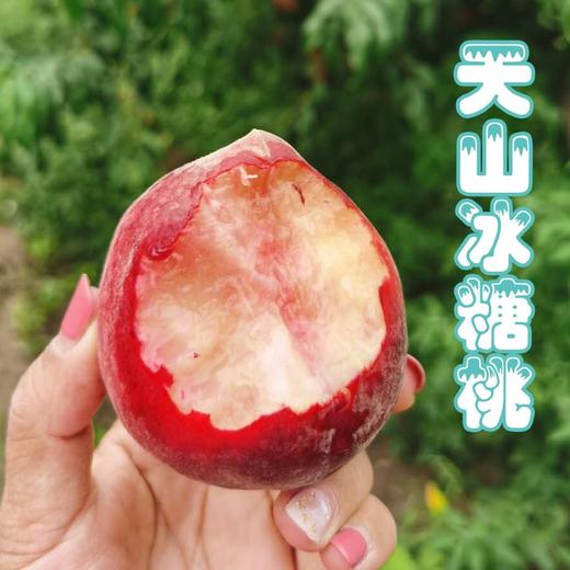 天山冰糖桃 商品图0