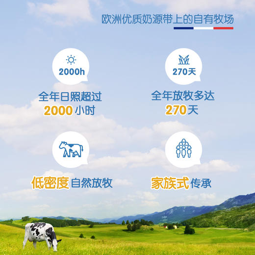 爱达力4段儿童成长奶粉800g 商品图2