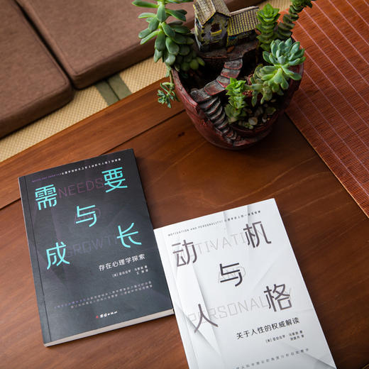 需要与成长：存在心理学探索+动机与人格 商品图1