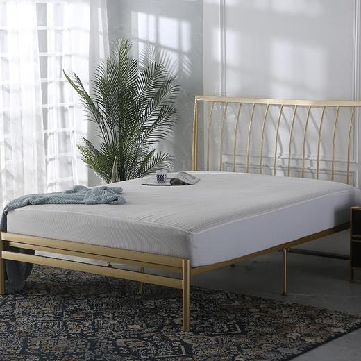 【原价298，现在99包邮到家！少量库存，售完即止】多喜爱美眠康 保护垫  科技抑菌防水床笠（白） 商品图1