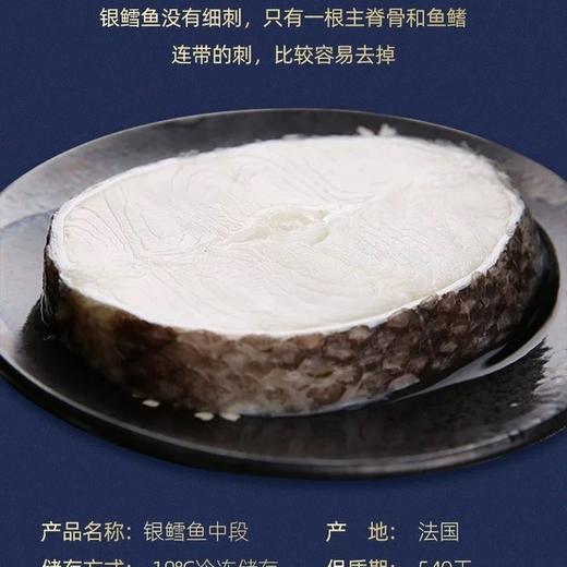 法国正宗银鳕鱼块（只选中段）宝宝辅食 500g 商品图2