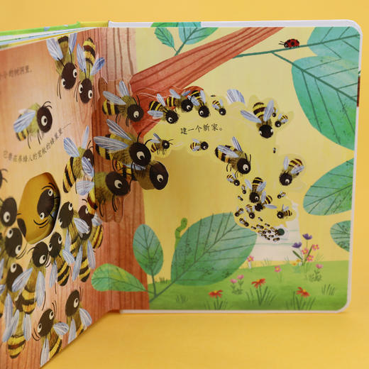 尤斯伯恩偷偷看里面 第四辑 （虫子+蜜蜂+海边+冰雪） 商品图1