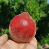 天山冰糖桃 商品缩略图1