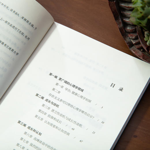 需要与成长：存在心理学探索+动机与人格 商品图4